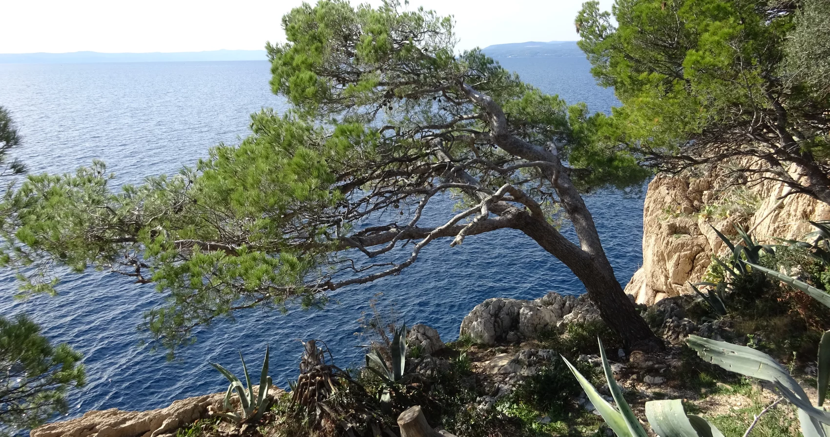 Meerblick