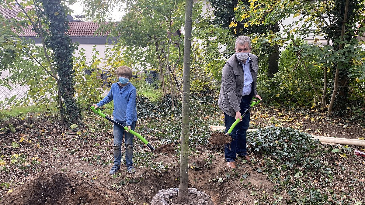 Zehnjährger Junge und Bürgmeister Kurt Krömer planzen einen Baum