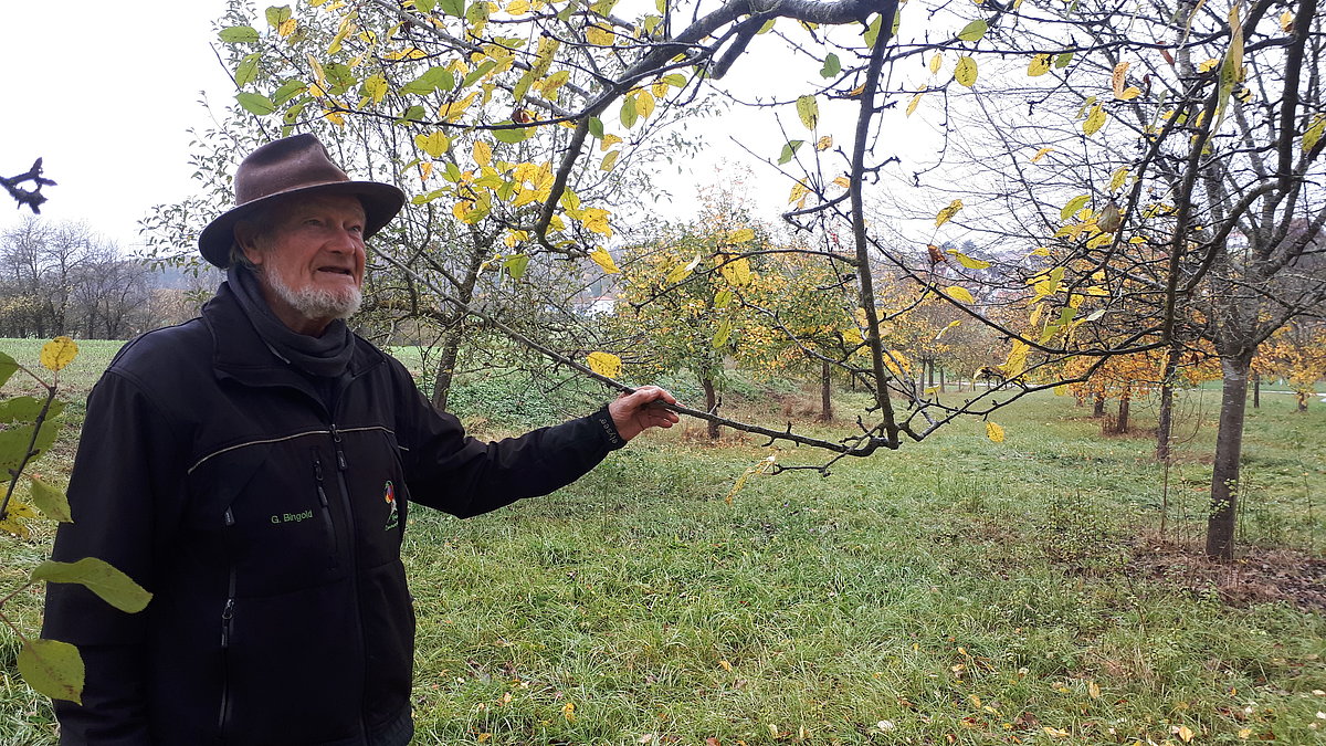 Mann steht neben Obstbaum