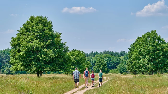 Romantisches Franken: Wandern auf dem Erlebnisweg Wallensteins Lager Eine Familie wandert durch den Hainberg