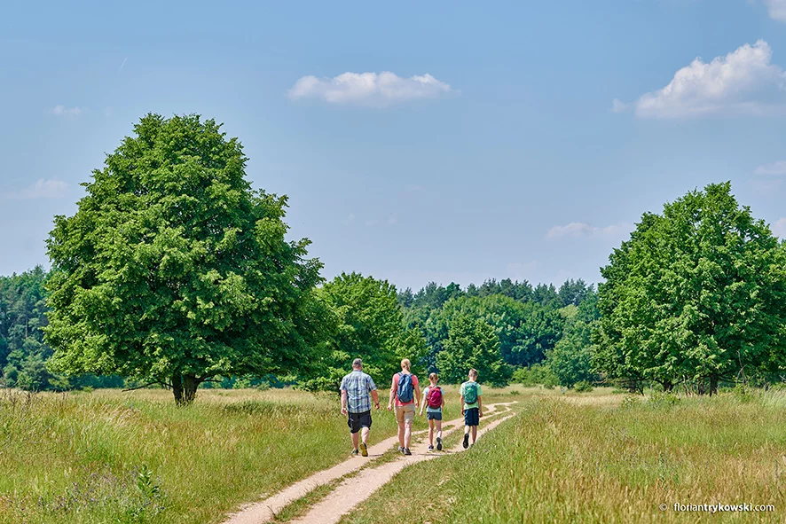 Romantisches Franken: Wandern auf dem Erlebnisweg Wallensteins Lager Eine Familie wandert durch den Hainberg